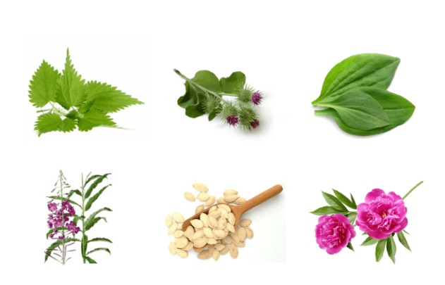Plants with prostatitis