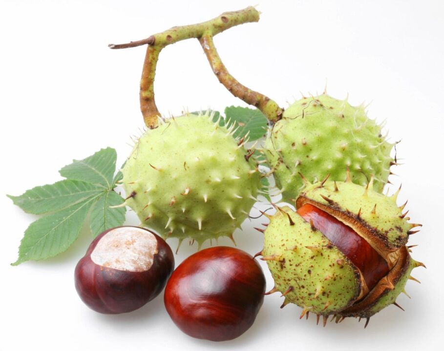 chestnut peel for prostatitis treatment